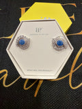 OG Earrings